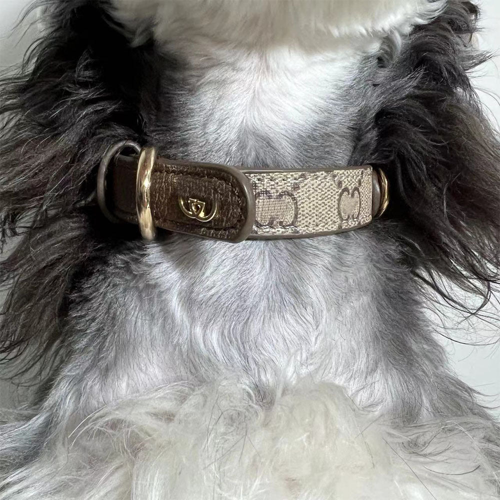 Pet dog harness collar set leather fashion brand French Dou GG Corgi Schnauzer leash harness vest style cat