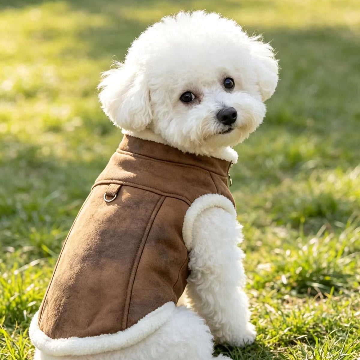 New Cross-Border Pet Clothing: Fall/Winter Collection—Poodle Outfits, Cotton Jackets, Cat Leather Jackets, and Thickened Sleeveless Vests