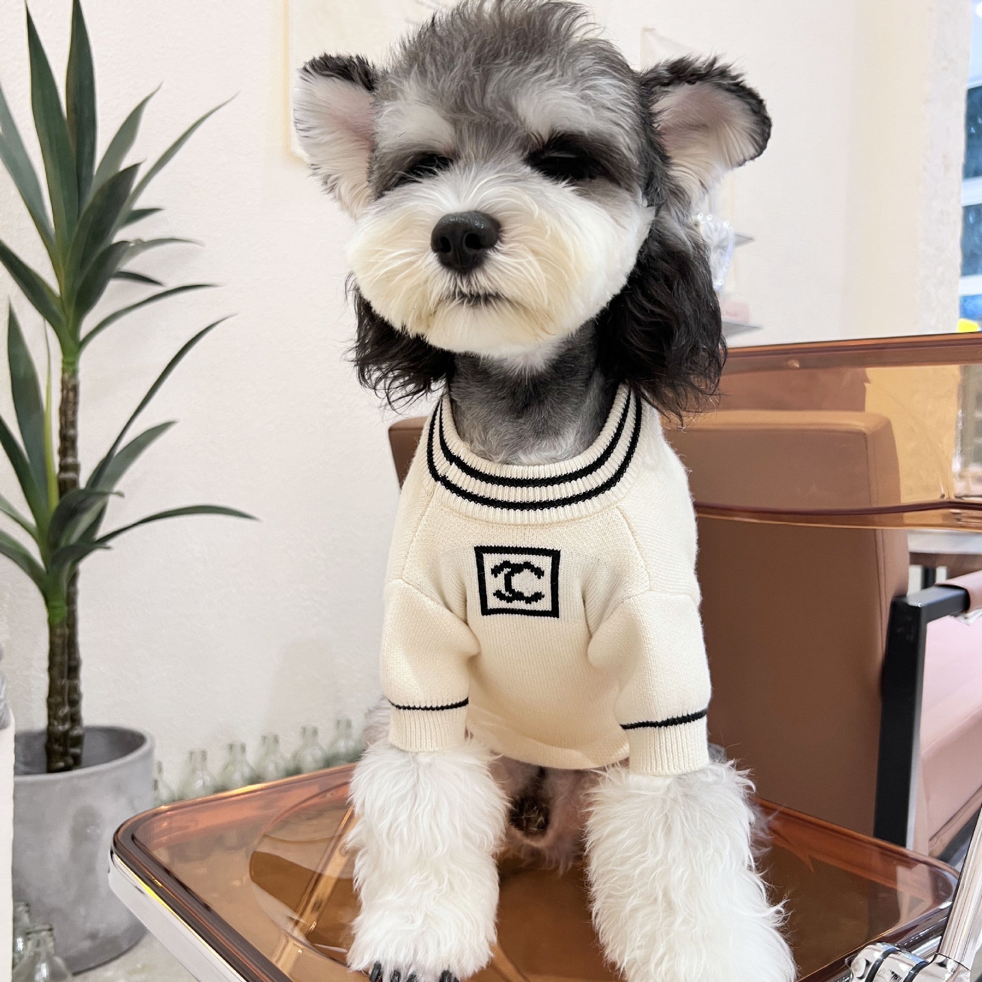 Cross-border new autumn and winter dog sweater knitted Xiaoxiang pet clothes Teddy cat Schnauzer Pomeranian Shiba Inu trend