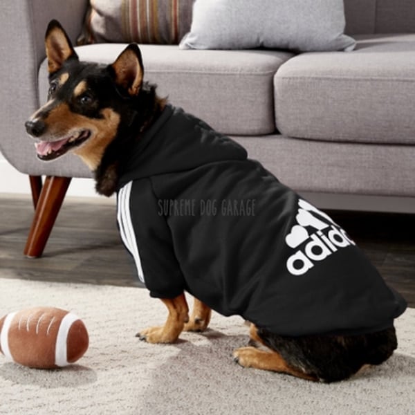 Adidog Origipaws Dog Hoodie