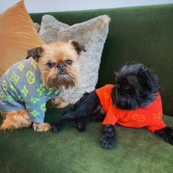 Pawtton Designer Dog Sweater
