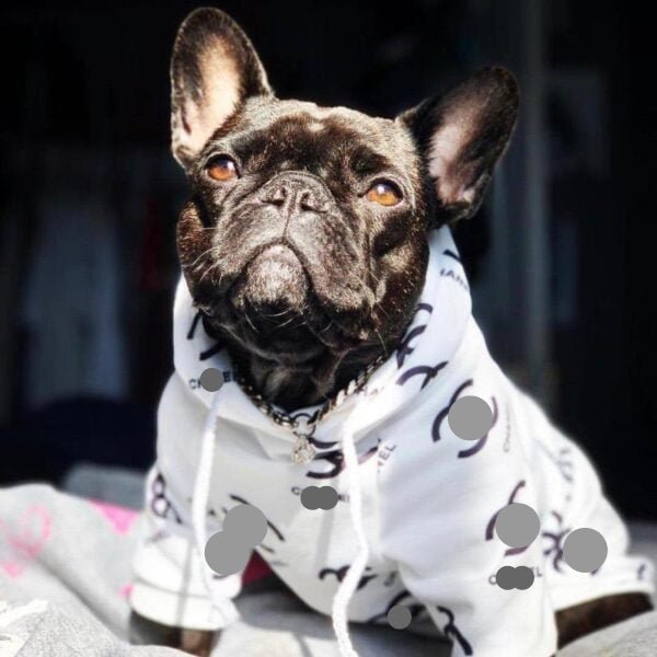 CoCo Designer Dog Hoodie