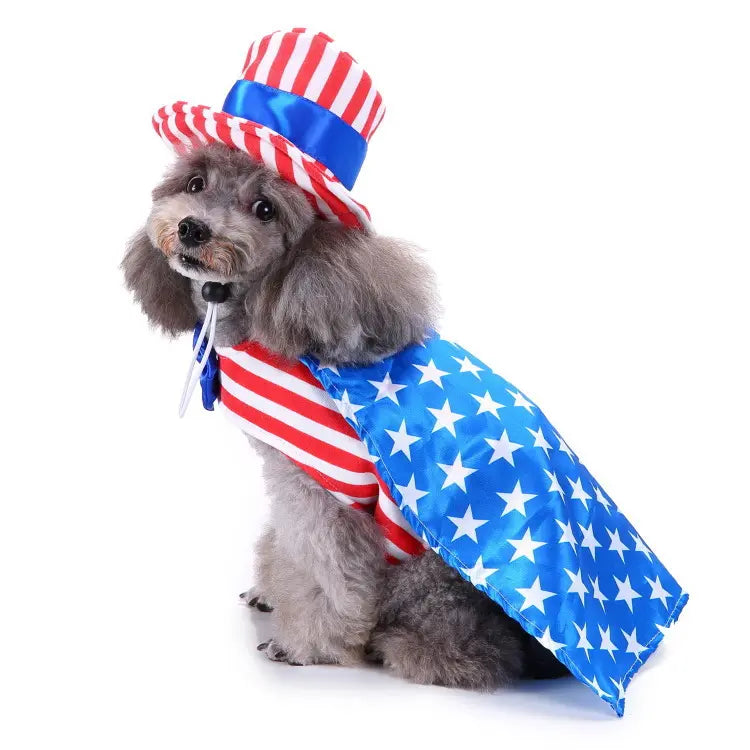 Dog Halloween costume with funny costumes