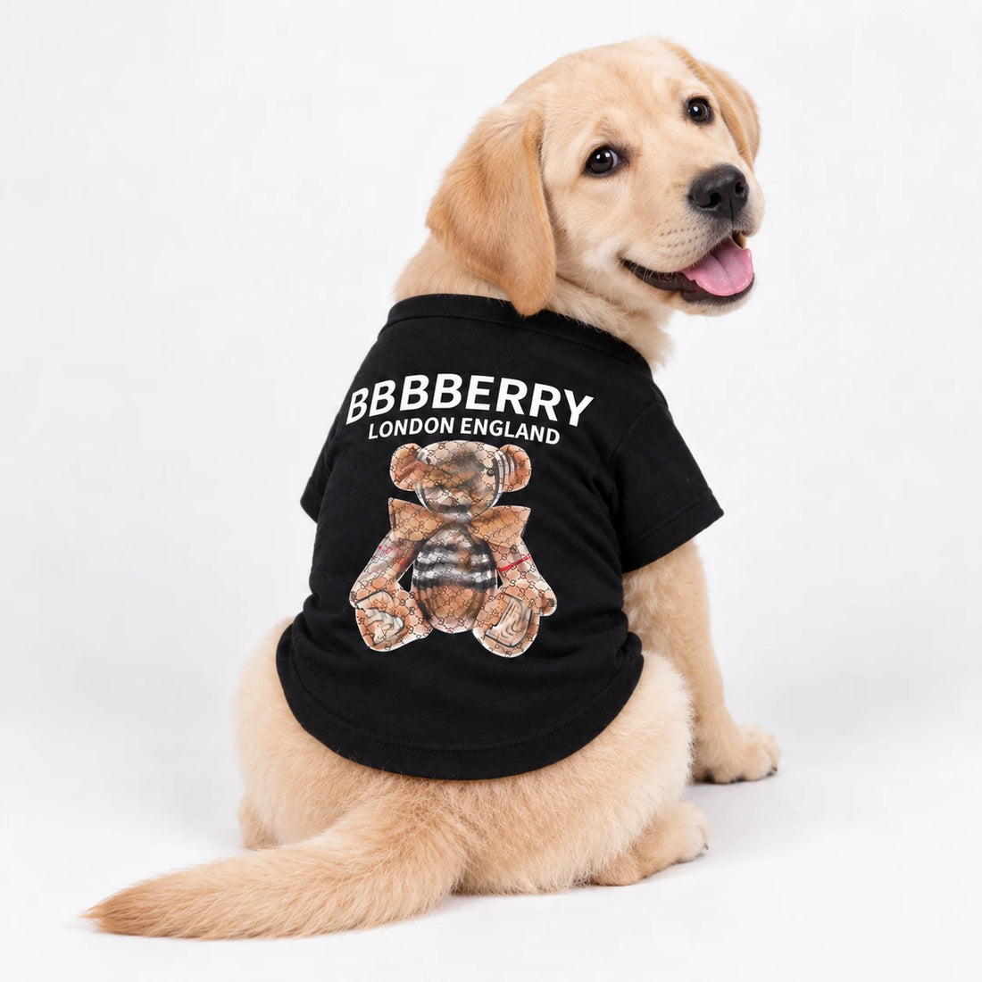 Lightweight Summer Dog T-Shirt – Breathable Small Dog Clothes BBR Designer