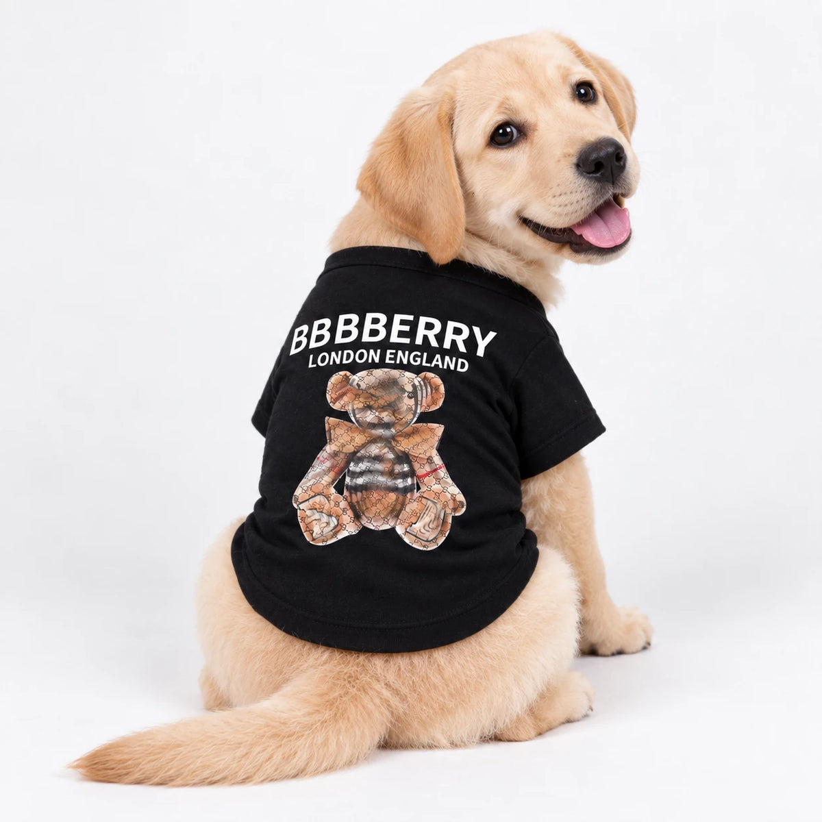 Lightweight Summer Dog T-Shirt – Breathable Small Dog Clothes BBR Designer