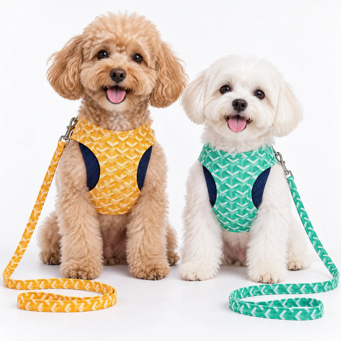 Breathable Dog Harness & Leash Set – GY High-Cut Vest for Small Dogs Designer