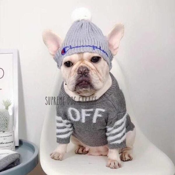 OFF Gray Wool Dog Sweater
