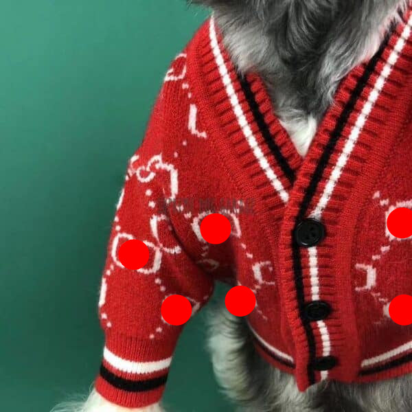 Pawcci Superstar Dog Sweater