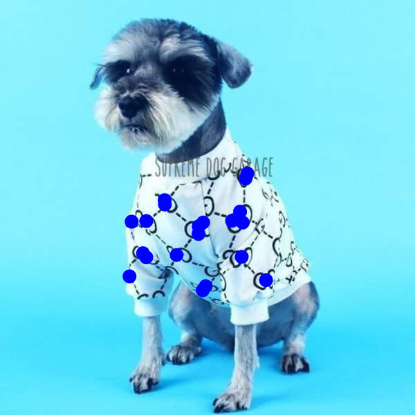GiGi Monogram Designer Dog Sweatshirt