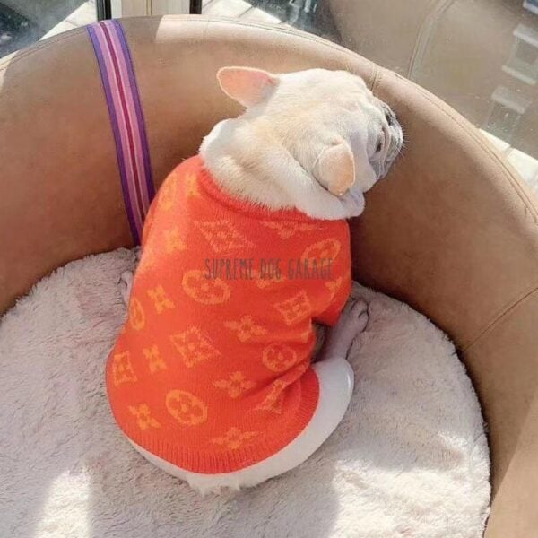 Pawtton Designer Dog Sweater