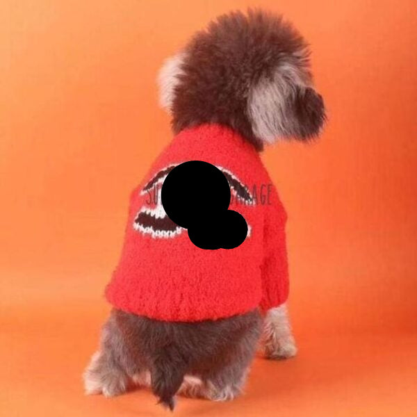 CC Orange Knitted Designer Dog Sweater