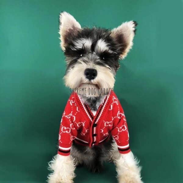 Pawcci Superstar Dog Sweater