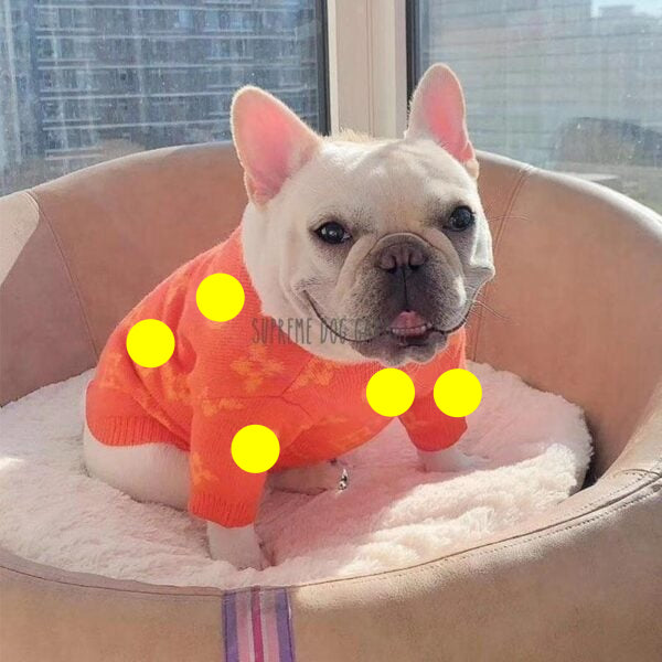 Pawtton Designer Dog Sweater