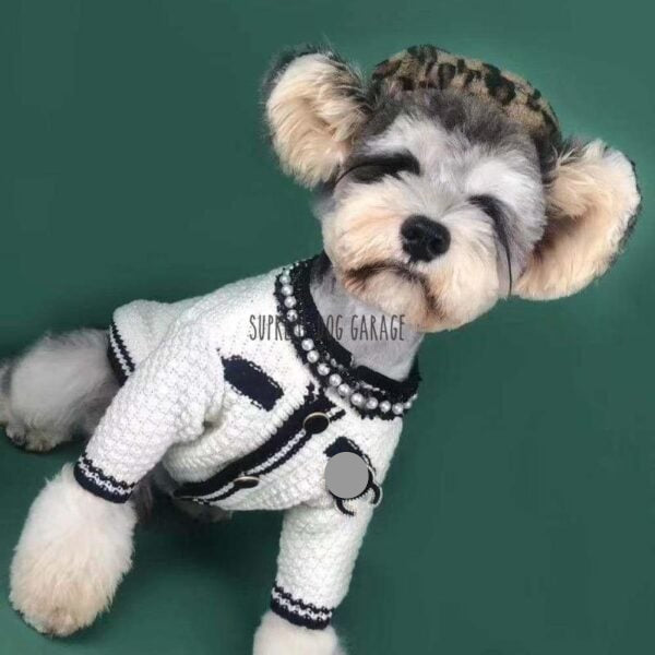 CC Knitted Designer Dog Sweater