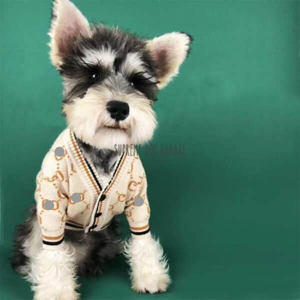 Pawcci Superstar Dog Sweater