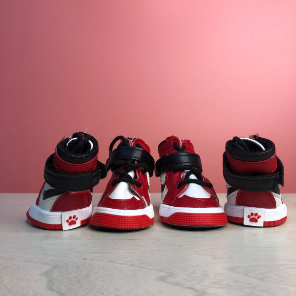 Classy Hype Dog Shoes For Walking