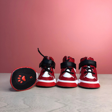 Classy Hype Dog Shoes For Walking