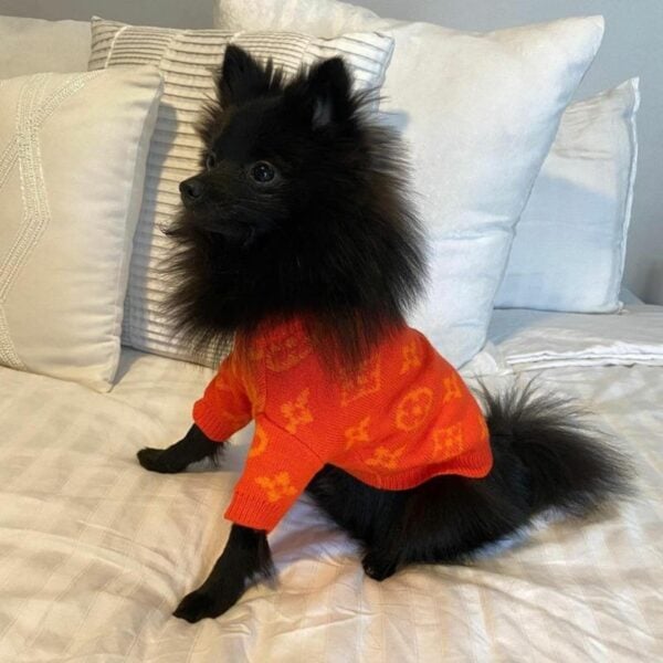 Pawtton Designer Dog Sweater